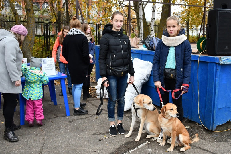 В субботу 13 октября в Детском парке Тутаева приют для бездомных животных "Право на жизнь" провел благотворительную акцию "Твори добро!"