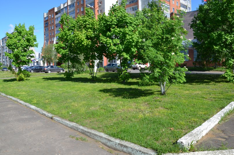 Благоустройство в Тутаеве продолжается