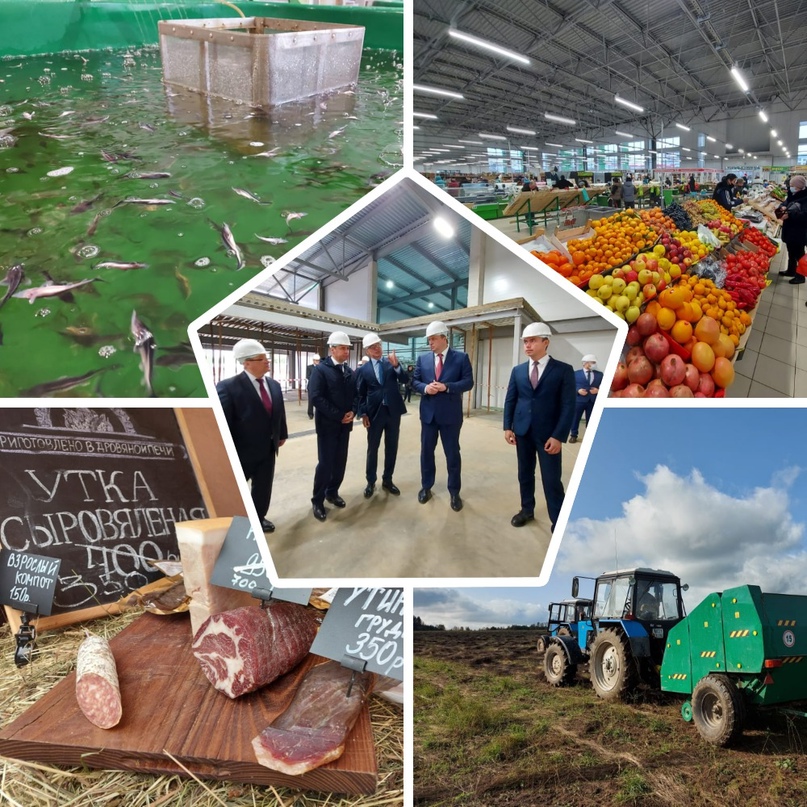 Лучше в АПК: почему выгодно инвестировать в сельское хозяйство и потребительский рынок Ярославской области