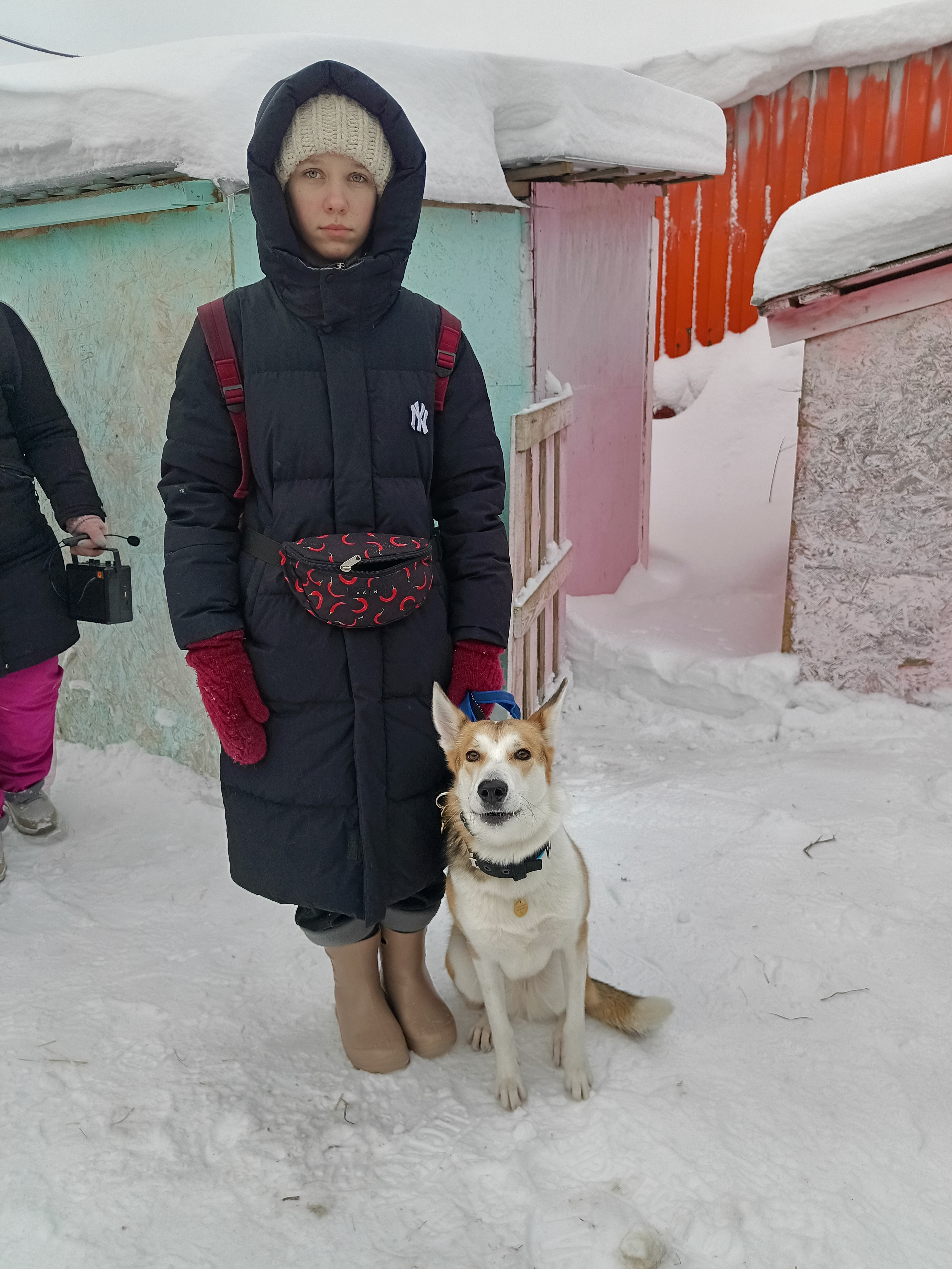 В приюте для собак в Тутаеве открыли площадку для дрессировки
