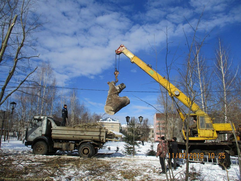В Тутаеве муниципальное учреждение "Агентство по развитию ТМР" начало работы по выпиловке аварийных деревьев в парке отдыха