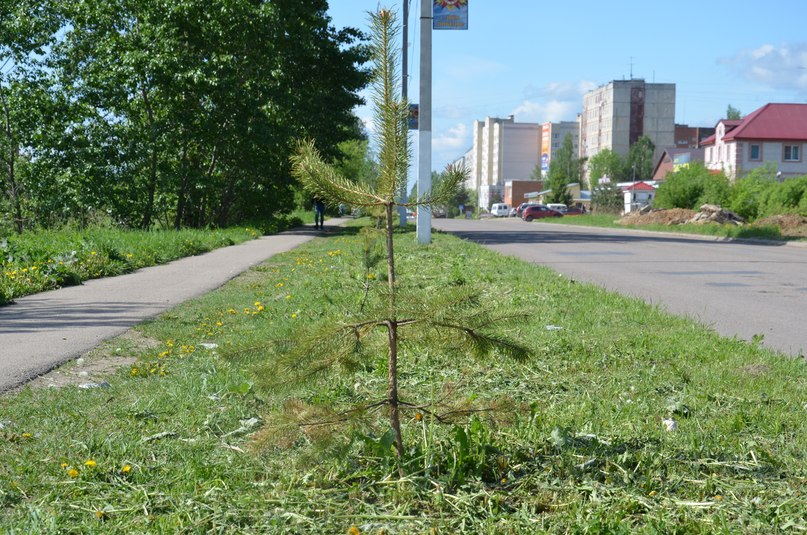 Благоустройство в Тутаеве продолжается