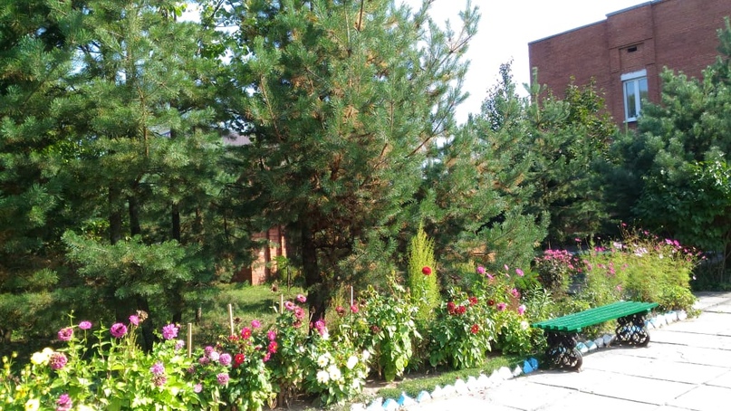 В сентябре будут подведены итоги общегородского смотра-конкурса "Клумба в подарок", реализуемого при поддержке администрации Тутаевского района