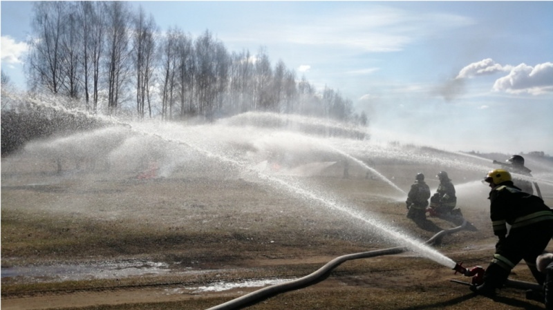 В мае на территории Тутаевского района произошло 24 пожара, из которых 10 – поджоги сухой травянистой растительности