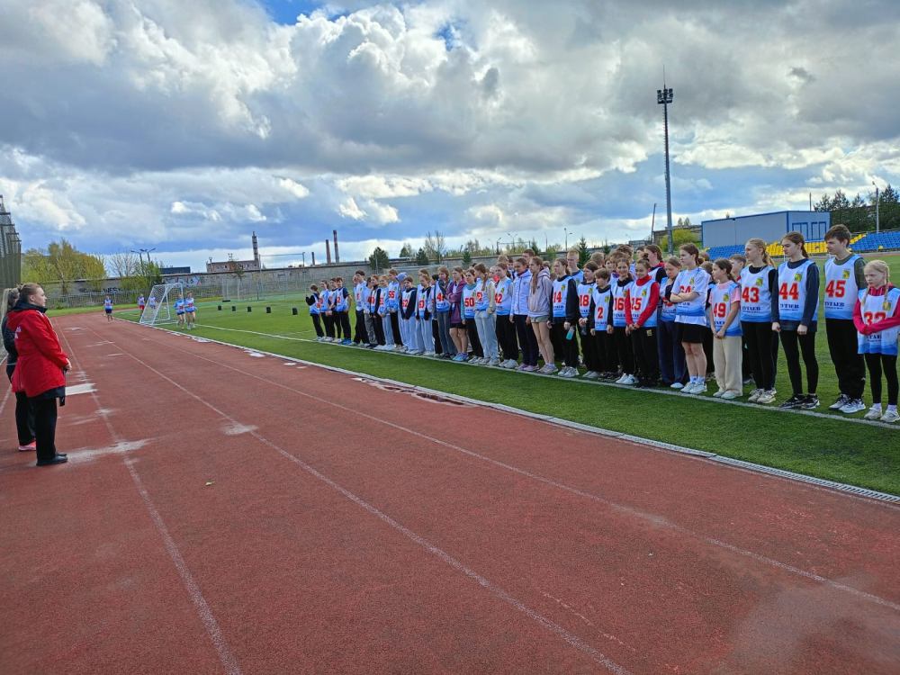 Фестиваль всероссийского физкультурно-спортивного комплекса "Готов к труду и обороне"