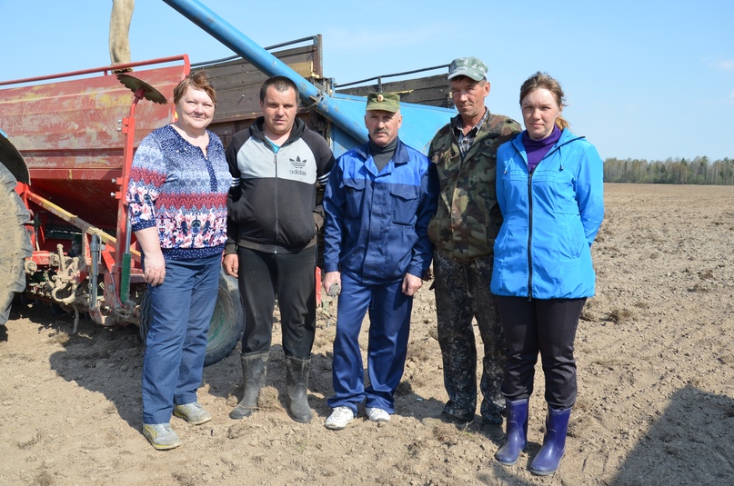 Весенне-полевые работы СПК Тутаевского района проводят с высокими процентами выполнения плановых показателей