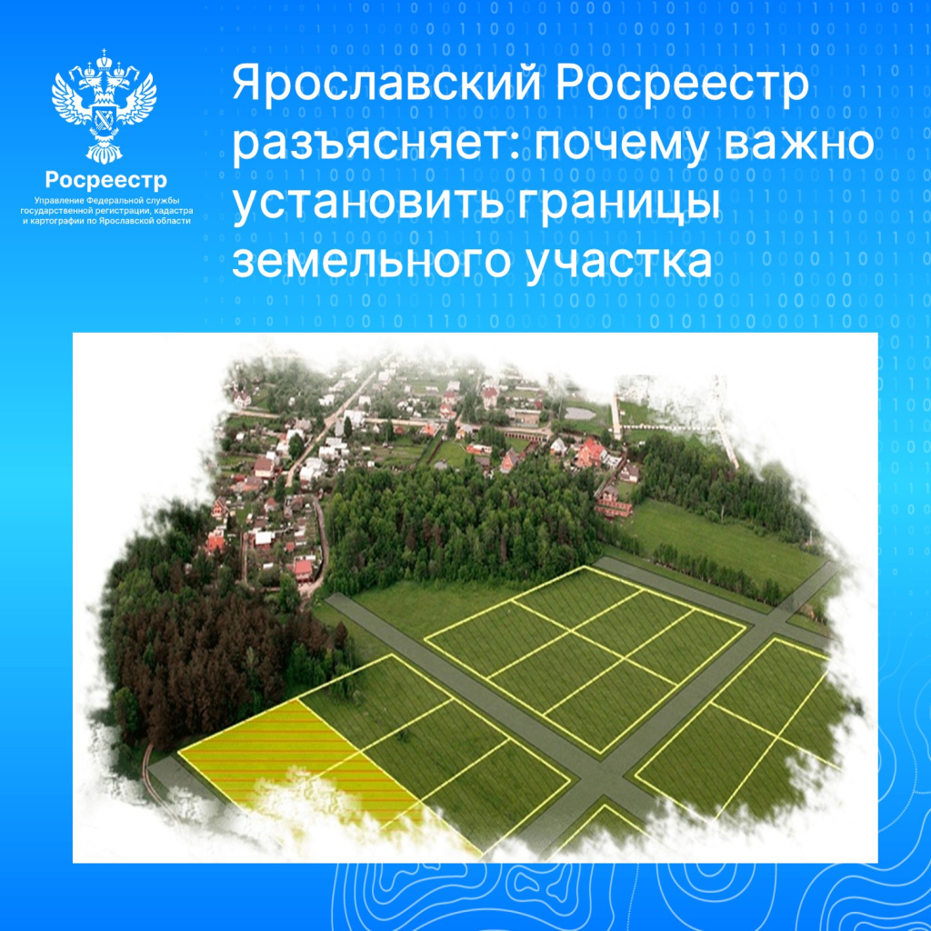картинка.jpg