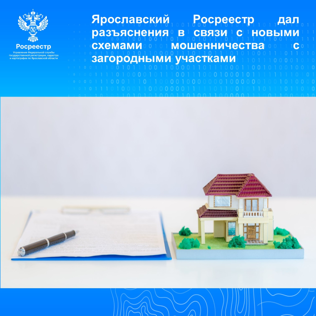 Картинка.jpg