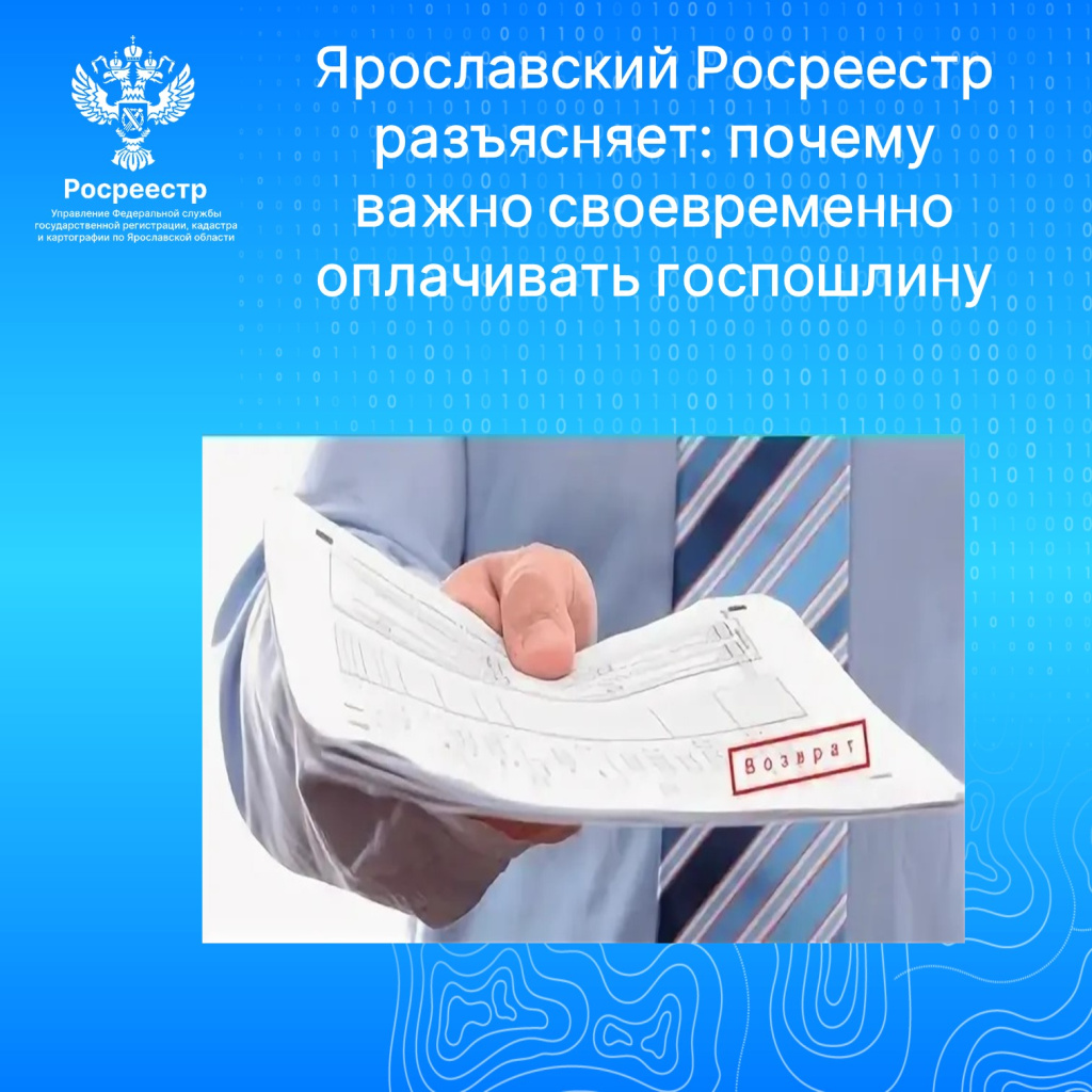 картинка.jpg