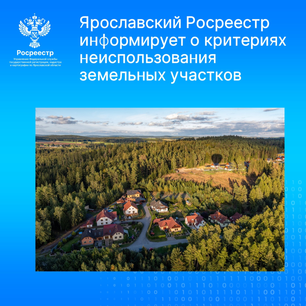 картинка.jpg