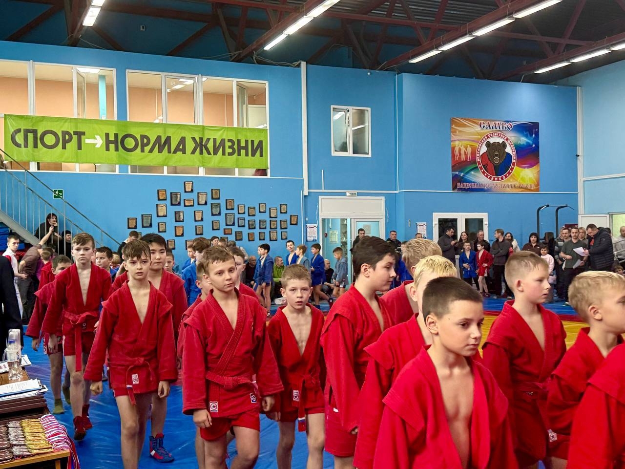 Большой день самбо в Тутаеве