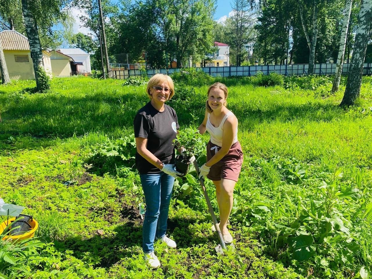 В Городском парке высадили цветущие растения