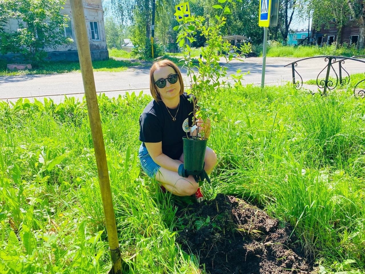 В Городском парке высадили цветущие растения