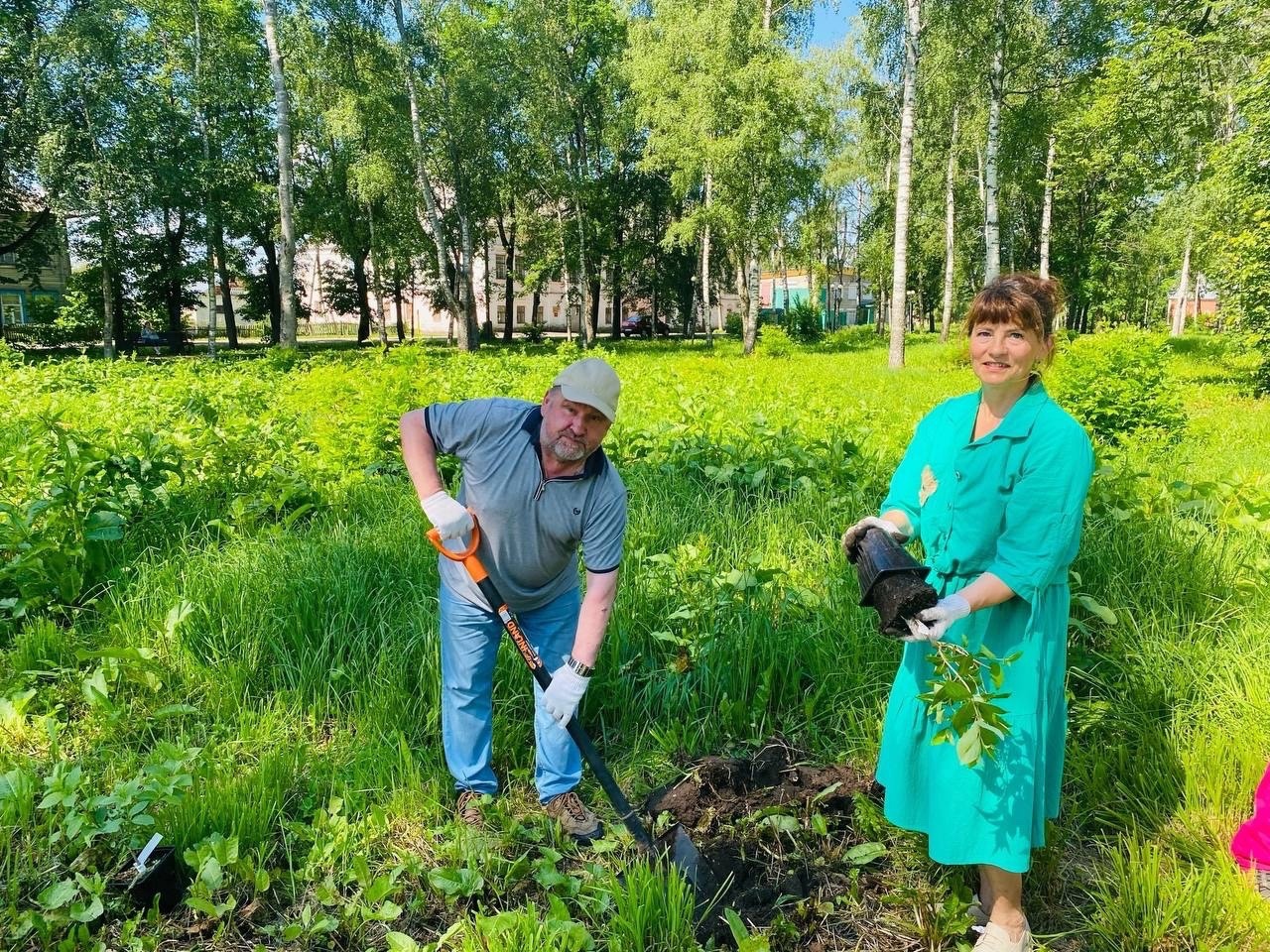 В Городском парке высадили цветущие растения