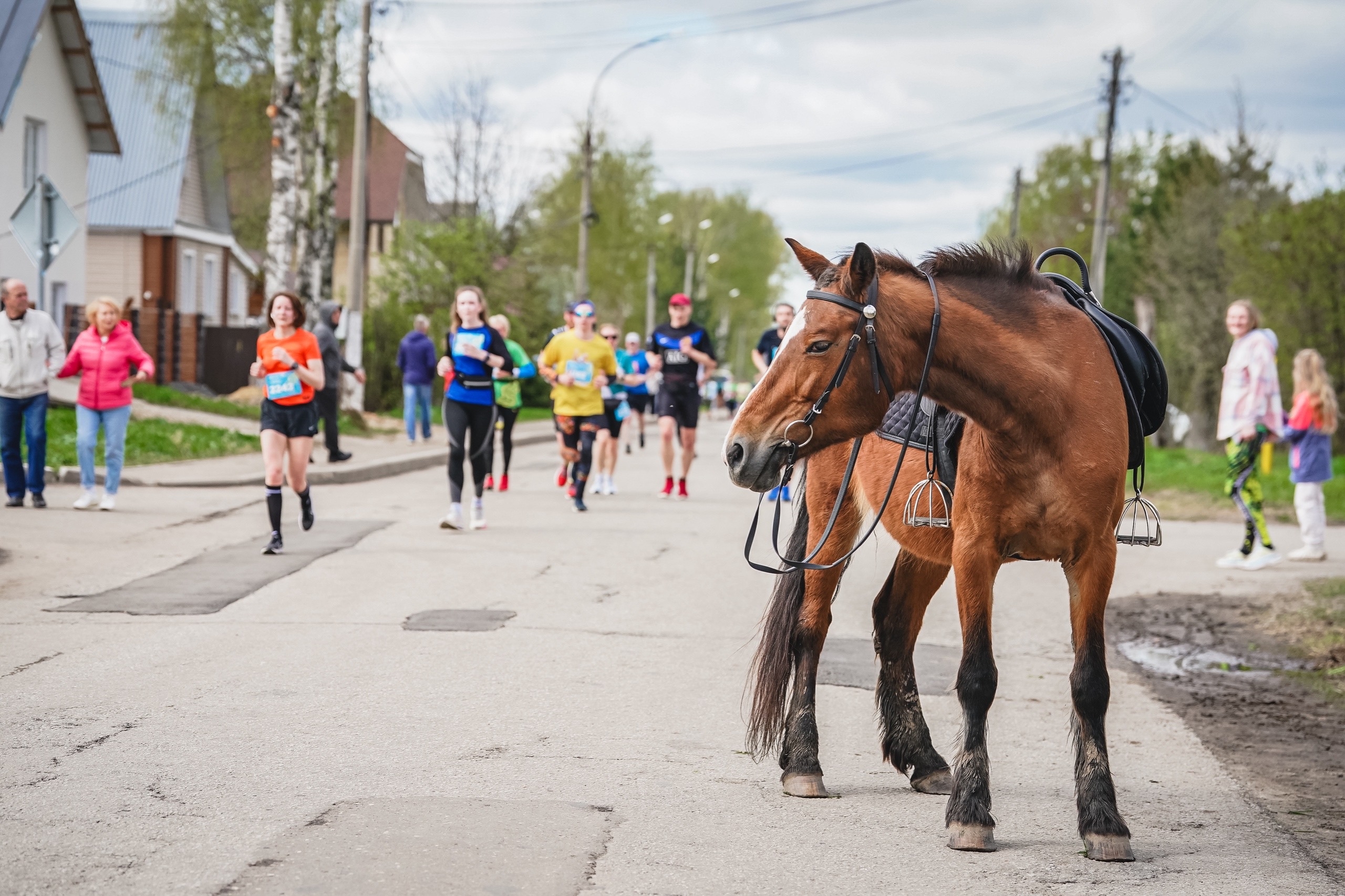 Тутаев готовится к грандиозному празднику спорта: 1 МАЯ - XI Тутаевский полумарафон!