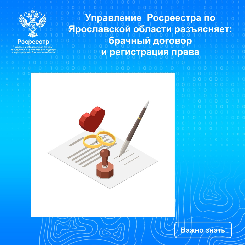 картинка.jpg