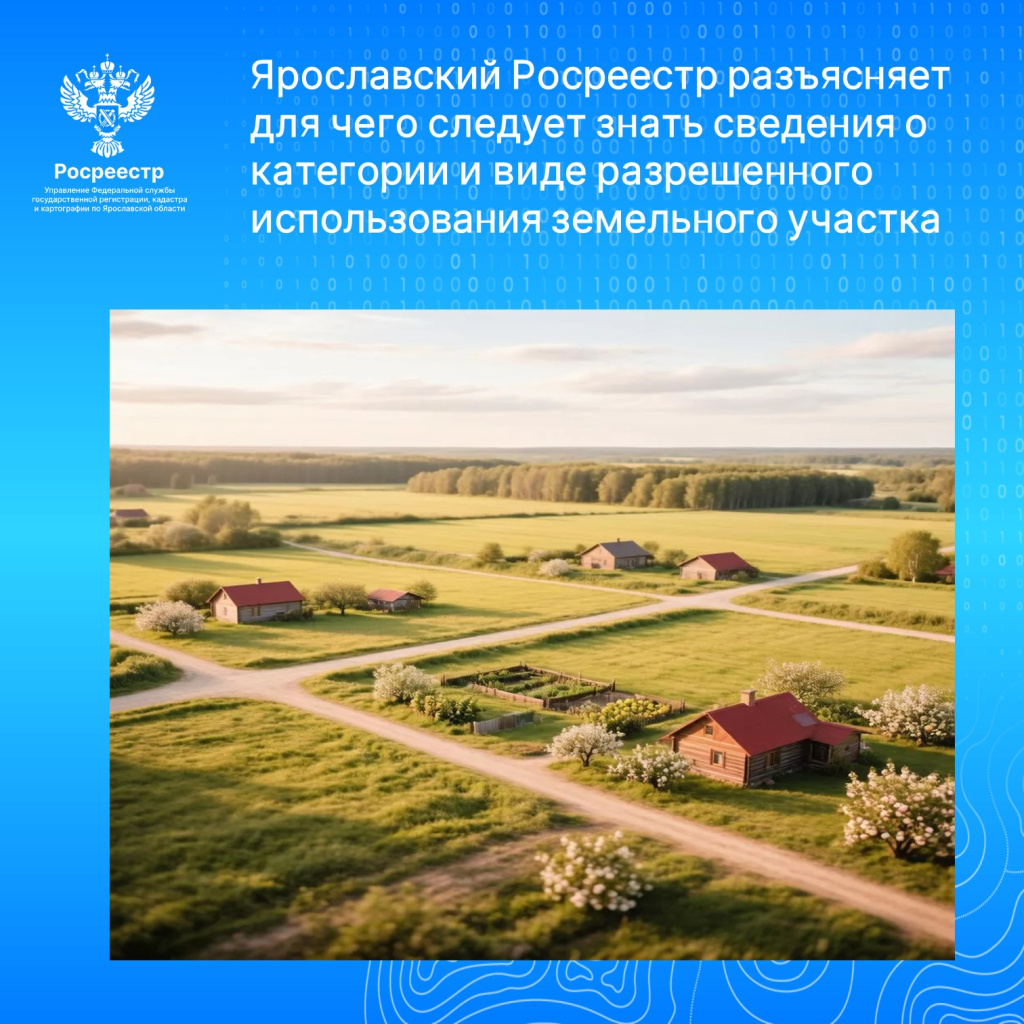 картинка.jpg